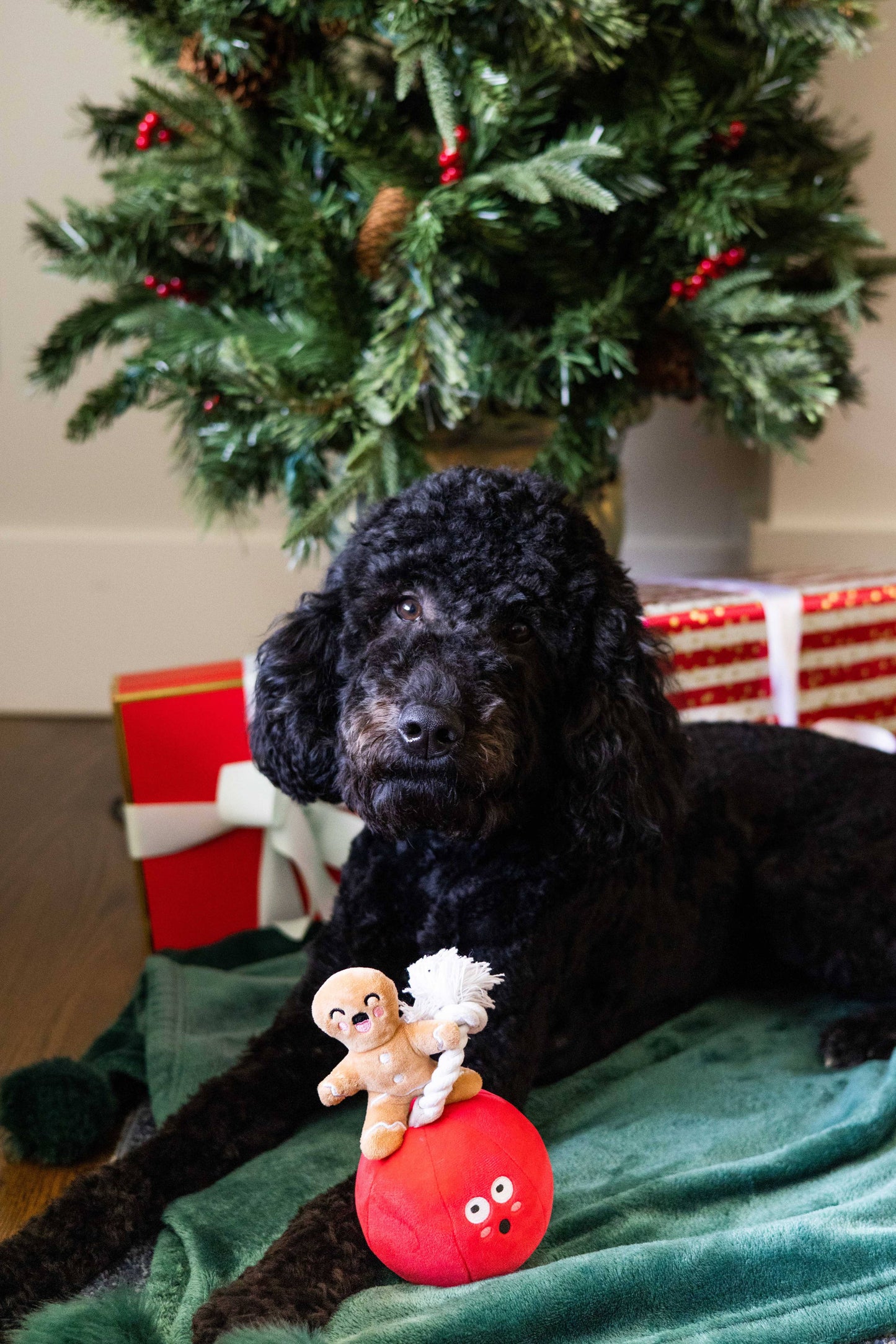 Wrecking Bauble Christmas Dog Toy